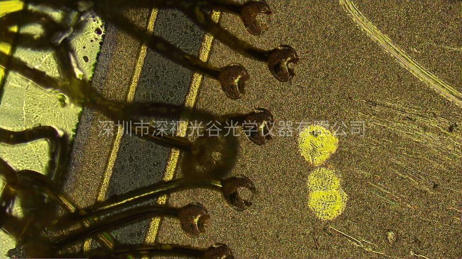 芯片檢測(cè)